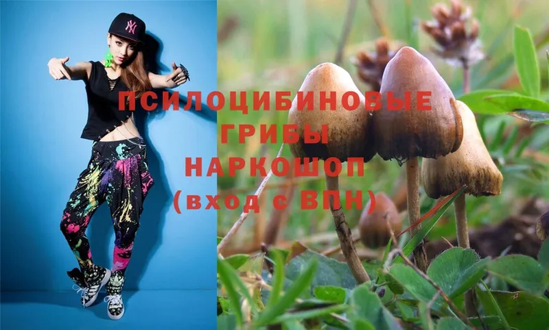 Псилоцибиновые грибы Magic Shrooms Старая Купавна